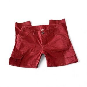 Mountain Hardwear maroon pants 10